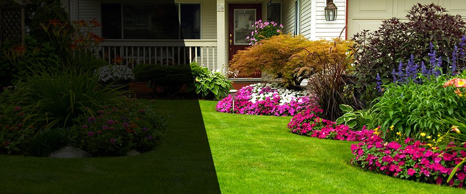 Shreve Landscapers