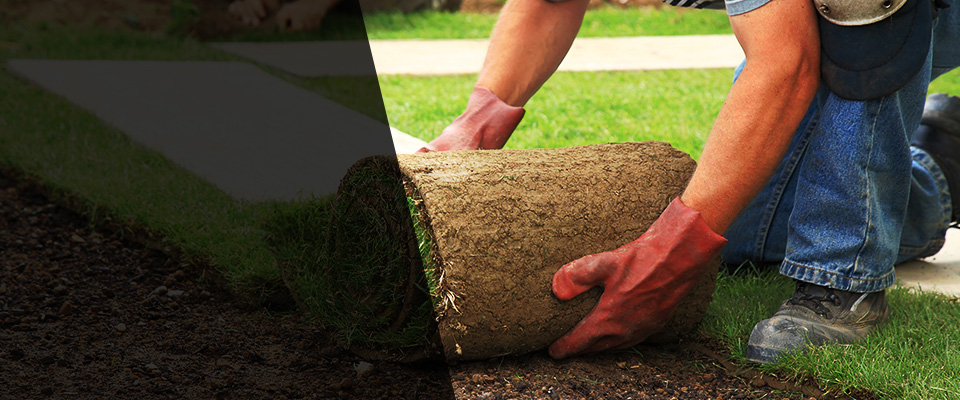 Shreve Landscapers